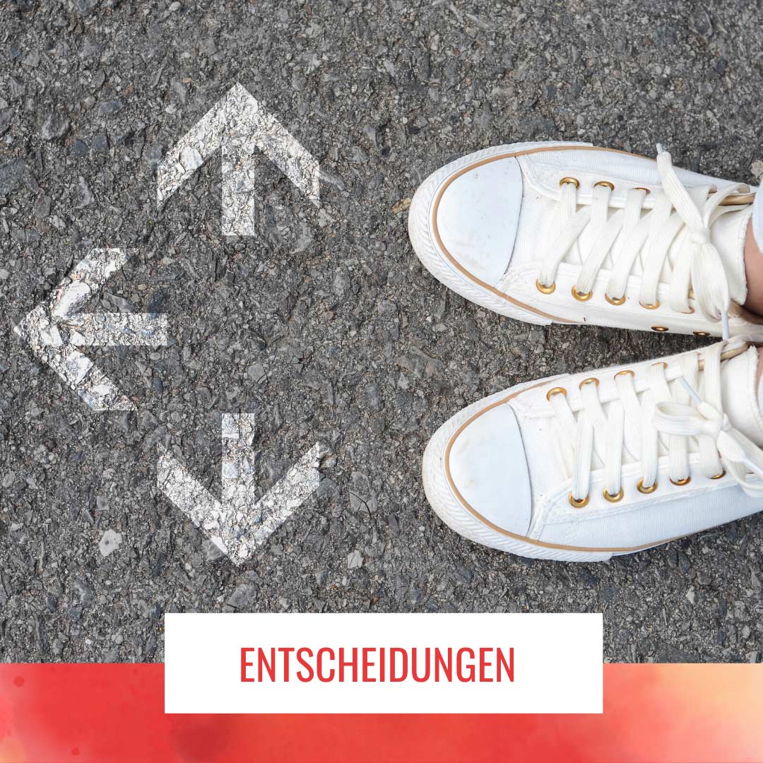 Entscheidungen treffen soll ich oder soll ich nicht? Steffos Welt